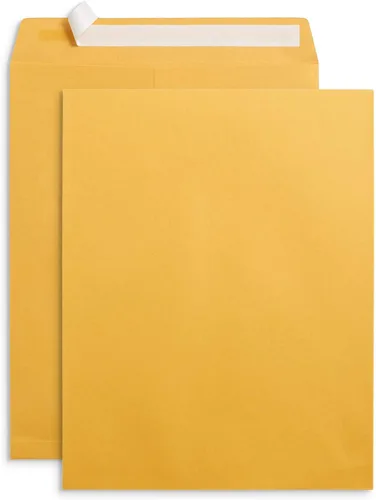 Vista 7 de Blue Summit Supplies 100 sobres de catálogo Kraft de 6 x 9 pulgadas, autosellados Kraft marrón dorado, autosellado, sin ventana, para enviar
