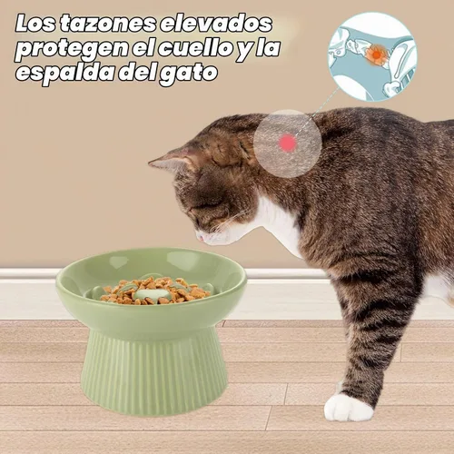 Vista 4 de STARVAST Paquete de 2 cuencos de cerámica para gatos de alimentación lenta