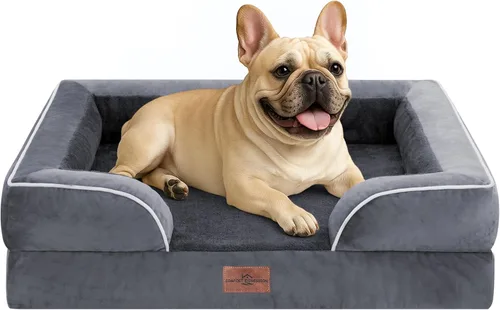 Vista 143 de Comfort Expression - Cama ortopédica para perros medianos, 28 x 19 pulgadas, cama impermeable y de apoyo de espuma con cojines removibles, sofá