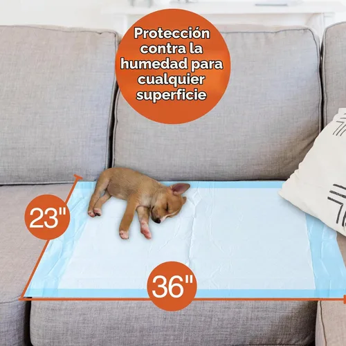 Vista 2 de Caring Almohadillas desechables de 23 x 36 pulgadas, almohadillas de cama de absorción moderada, almohadillas para portabrocas para cachorros