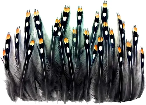 Vista 5 de Moonlight de plumas, plumas sueltas – 10 piezas – Natural plumas de oro Jungle Cock Loose Ojo grande