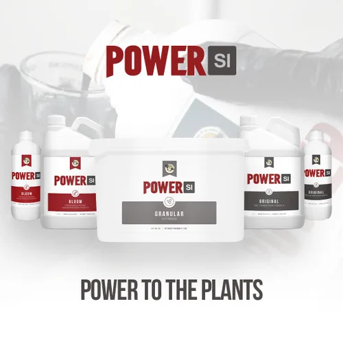 Vista 5 de PowerSI - Suplemento de sílice original de 1 litro, aditivo de fortalecimiento vegetal con ácido monosilícico, mejora la absorción de nutrientes