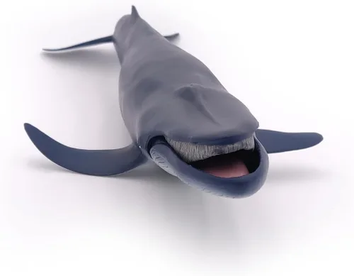 Vista 7 de Papo - Figura realista de ballena azul para niños - A partir de 3 años - Colección de vida marina - Juego educativo de mamíferos marinos - Juguete