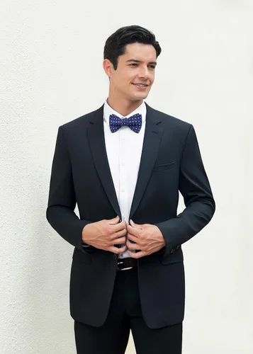 Vista 4 de HISDERN Pajaritas para hombre, diseño de lunares, corbatín y bolsillo cuadrado, clásico, esmoquin de negocios, boda, pajaritas, pañuelo