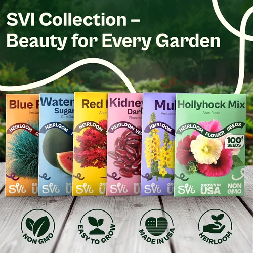 Vista 7 de SVI 250 Heavenly Blue Morning Glory Heirloom Flower Seeds, Ipomoea Tricolor