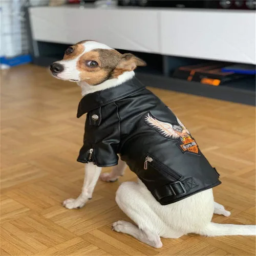 Vista 7 de Abrigo de invierno cálido para perros pequeños y medianos, chaqueta impermeable y resistente al viento para cachorros, ropa de cuero para mascotas