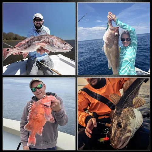 Vista 8 de FishTrip Ganchos circulares de agua salada para bagre, 25 piezas compensadas, 3 anzuelos de pesca fuertes, ancho para cebos vivos, tamaño 2 1 1/0