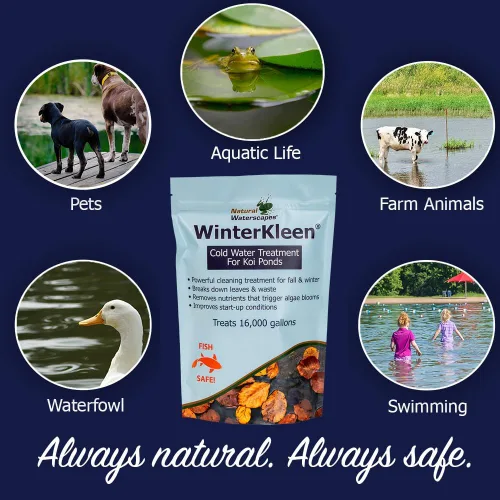 Vista 8 de WinterKleen - Bacterias de otoño e invierno para estanques Koi Pond Winterizer, digestor de hojas, limpiador natural - Potentes enzimas