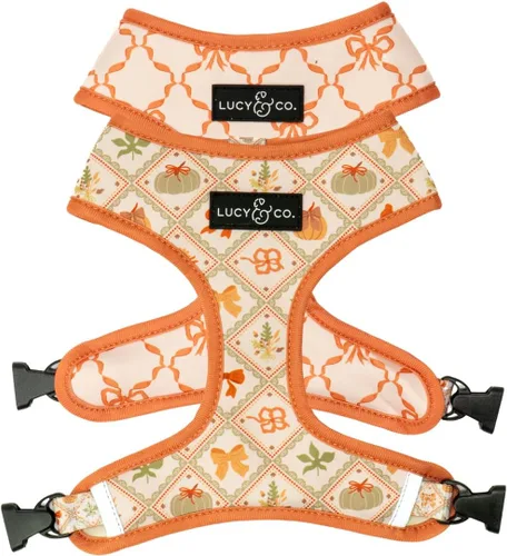 Vista 4 de Lucy & Co. Lindo arnés reversible para perros con cuello halter para caminar, el mejor diseño de arneses para mascotas XS a XL, chaleco acolchado