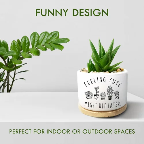 Vista 6 de Maceta Divertida para Plantas Suculentas, Maceta Pequeña para Plantas de Interior, Lindas Macetas de Cerámica para Cactus con Drenaje, Decoración