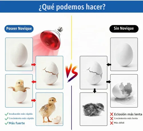 Vista 2 de Bombillas de calor de 250 W, 1 paquete de lámpara de calor infrarroja para pollos con enchufe E26 y 5000 horas de vida útil bombilla de calor