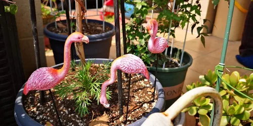 Vista 9 de MUAMAX Púas de flamenco en miniatura, paquete de 2 accesorios de jardín de hadas, figuras de flamenco de jardín en miniatura rosa, estacas