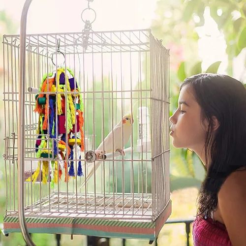 Vista 5 de Rypet Parrot Toys - Juguetes grandes para pájaros, cuerda de madera, jaula