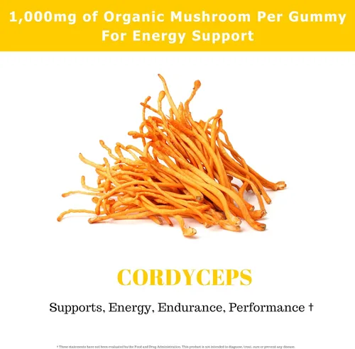 Vista 5 de Cordyceps - Gomitas de hongos para adultos 90 porciones Sandía Gomitas de hongos de rendimiento energizante para apoyar la resistencia