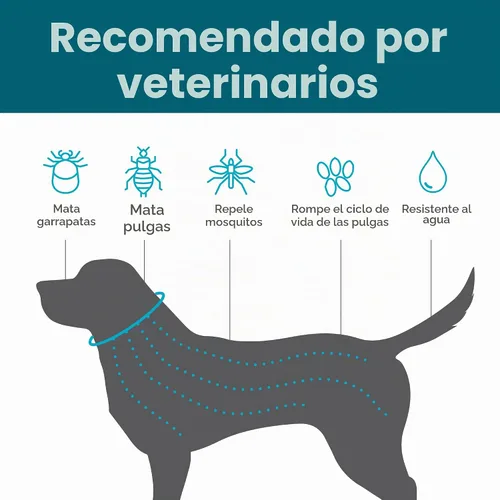 Vista 3 de TevraPet Activate II Collar antipulgas y garrapatas para perros pequeños, prevención de 12 meses, 2 unidades, se adapta a cuellos de hasta 15