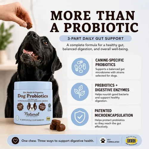 Vista 3 de Natural Dog Company - Masticables probióticos para perros, 45 unidades, suministro para 6 semanas