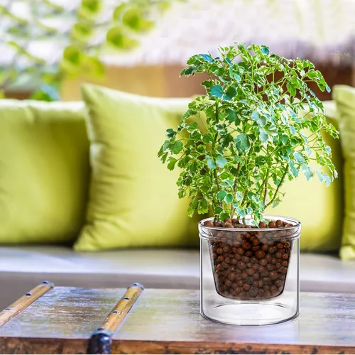 Vista 6 de 2 Piezas Macetas de Autoriego de 4 Pulgadas para Plantas de Interior Maceta de Vidrio Transparente Maceta Pequeña para Plantas con Platillo Depósito