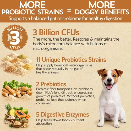Vista 3 de Fidobiotics Good Guts Probióticos para perros – Polvo probiótico para perros para la salud digestiva, alivio de gases y heces más firmes, 3B UFC