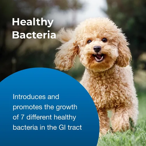 Vista 6 de PetAg Bene-Bac® Plus Pet Gel, FOS Prebiótico y Probiótico 15 gm.