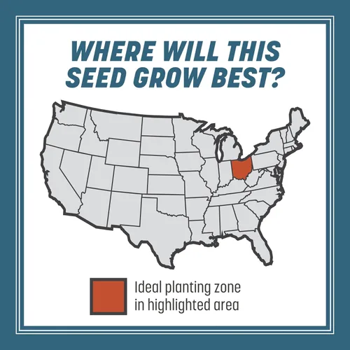 Vista 6 de Pennington Smart Seed - Semillas de césped del estado de Ohio para césped