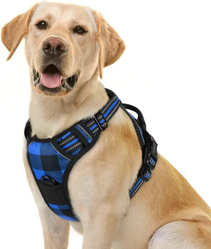 Vista 104 de Rabbitgoo - Arnés para perros sin tirón con 2 clips de correa, chaleco Oxford reflectante acolchado suave ajustable sin estrangulamiento