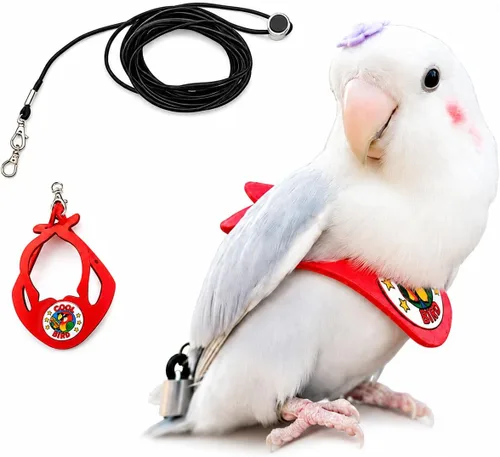 Vista 11 de Juego de arnés ajustable y correa para pájaros pequeños, apto para periquitos, conures, cacatúas, mejillas verdes, loros cuáqueros (verde, XS) 6350-6