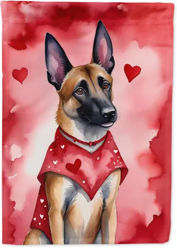 Vista 206 de Caroline's Treasures DAC5252GF Affenpinscher - Bandera de jardín con texto en inglés "My Valentine", bandera decorativa para patio exterior, patio