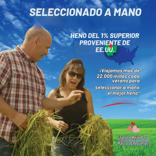 Vista 2 de Small Pet Select Orchard Grass - Alimento para mascotas para conejos