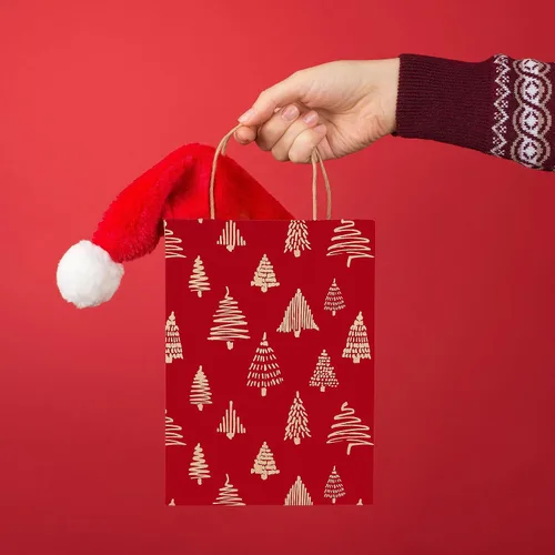 Vista 5 de EasyKart - Bolsas de regalo de papel kraft – 30 bolsas de regalos de Navidad, 6 diseños, regalos para el aula y fiestas (9 x 7.3 x 3.3 pulgadas)