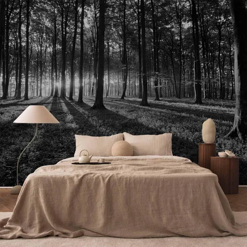 Vista 79 de artgeist Mural de pared premium Bosque púrpura, 79 x 55 pulgadas, papel tapiz no tejido, decoración de pared de vellón, impresión fotográfica