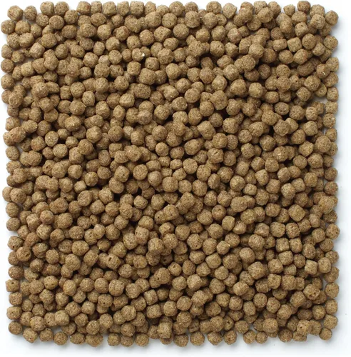 Vista 6 de Mazuri Koi Nuggets Flotantes para Estanque, Alimento Flotante para Peces Koi para Estanques (3.5 LB)