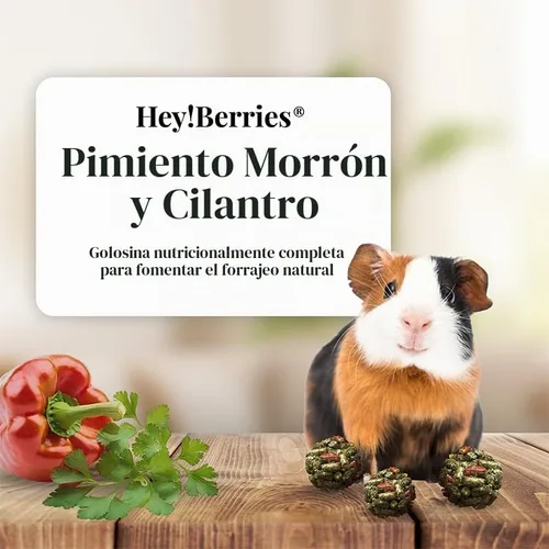 Vista 3 de LAFEBER'S Hey!Berries para conejillos de indias 5 oz (pimienta y cilantro)