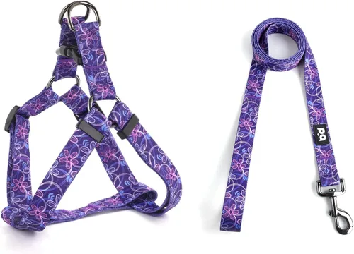 Vista 13 de QQPETS Juego de correa de arnés para perro, ajustable, resistente, sin tirones, arnés halter para perros de razas pequeñas, medianas y grandes, clip