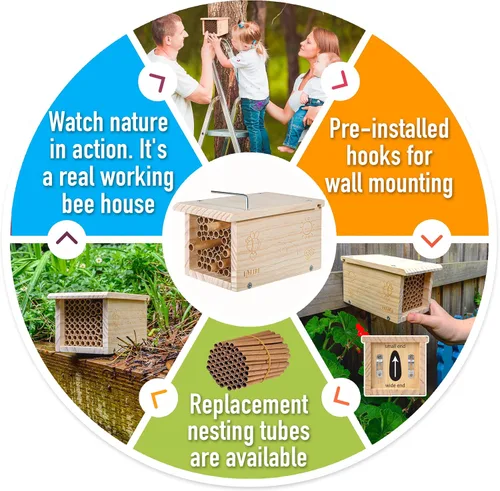 Vista 5 de Rivajam Construye un proyecto de carpintería de bricolaje de casa de abejas Caja de anidación de madera solitaria Mason Bee House Kit