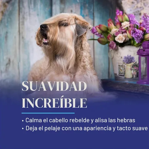 Vista 5 de Chris Christensen Spectrum Ten Champú para perros, acicalar como un profesional, limpieza suave, brillo magnífico, fabricado en EE. UU., 16.0 fl oz