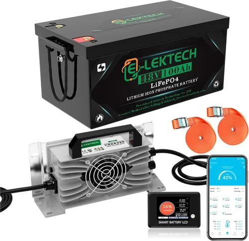 Vista 11 de Batería de litio LiFePO4 de 12V 200Ah incorporada 150A BMS