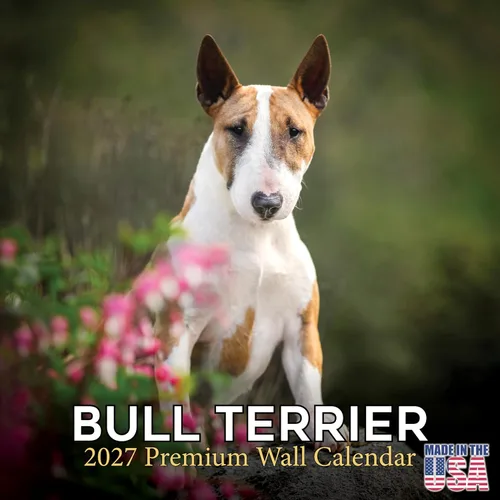 Vista 215 de Calendario de Lebrel Afgano 2025 2026, calendario mensual de pared de raza canina, 12" x 18" abierto, papel grueso sin traspaso, ideal para regalo