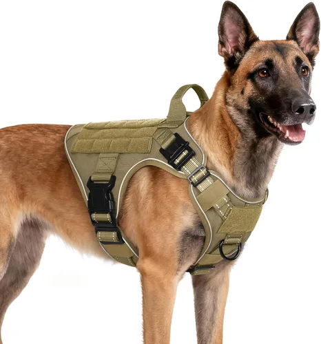Vista 28 de rabbitgoo - Arnés táctico para perros pequeños, arnés resistente para mascotas con asa, chaleco de servicio sin tirones para razas pequeñas, chaleco