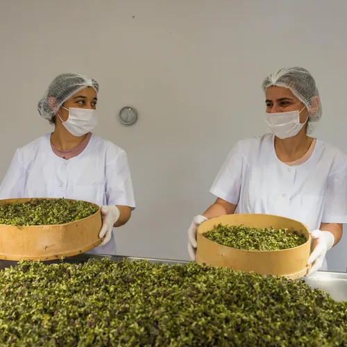 Vista 6 de Té de hierbas armenio No. 2 – Rayos suaves Mezcla de hojas sueltas calmante con tilo, caqui seco, canela y cártamo Caja de regalo de té Wellness