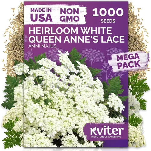 Vista 51 de KVITER 15,000 semillas de rosa musgo mixta para plantar (Portulaca grandiflora) – Cubierta de suelo con floración de reliquia, semilla de Portulaca