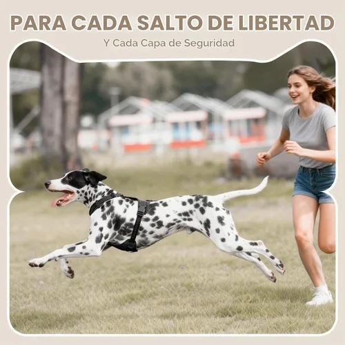 Vista 9 de Sunraymascota Arnés para perro sin tirones con licra, dispersión de fuerza de tres puntos y acolchado 3D, malla transpirable ajustable para perros