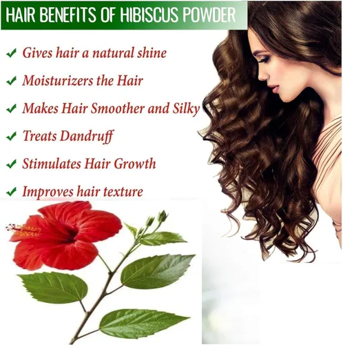 Vista 2 de MA Hibiscus Leaf Powder Sembaruthi Leaf Hibiscus rosa sinensis Leaf para cabello, cuidado de la piel, paquete facial 2.2 lbs