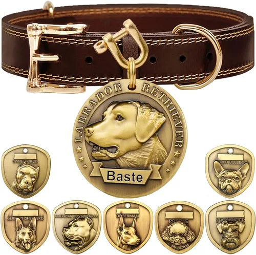 Vista 23 de Collar de cuero auténtico para perro + Juego de etiqueta para perro bulldog con relieve 3D (XS-S)