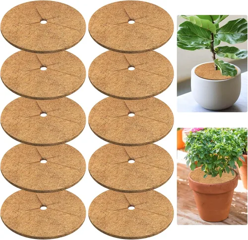 Vista 14 de Legigo 10 piezas Anillos de Mantillo de Fibra de Coco Alfombrilla Protectora de Plantas de Árbol, 6 Pulgadas Anillo de Protección de Árbol de Fibra