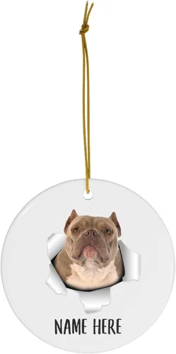 Vista 2 de Personalized Name American Bully Blue Fawn Christmas Tree Ornaments Circle Ceramic Decorations Gifts for Dog Lovers Owners