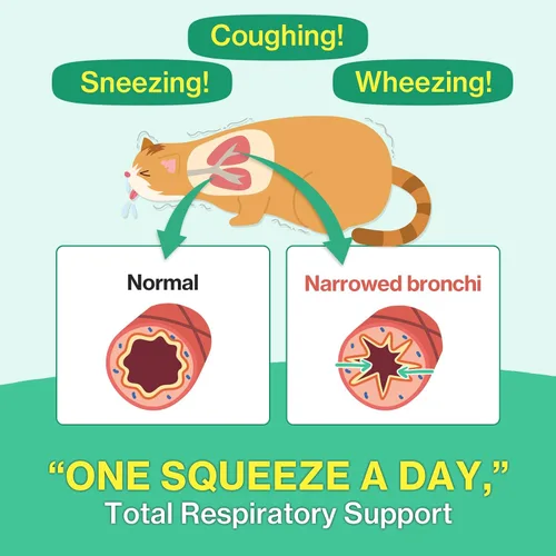 Vista 2 de Doctor By Suplementos Bronquiales para el Aliento de Gatos Tratamiento para Estornudos de Gatos Asma Resfriado Tos Alivio Nasal Apoyo Respiratorio e
