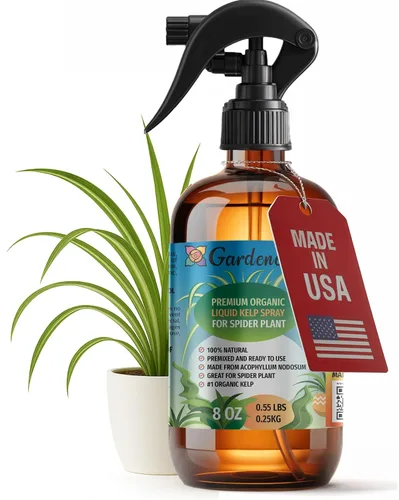 Vista 19 de GARDENERA Spray orgánico profesional de algas marinas para plantas AGLAONEMA – 8 oz – Rocío fertilizante de algas marinas y algas marinas totalmente