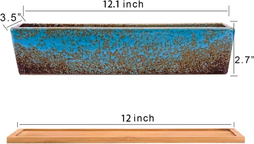 Vista 3 de Macetas para suculentas, macetas grandes de 12.1 pulgadas con bandeja de drenaje, maceta rectangular larga de cerámica para cactus de Azul