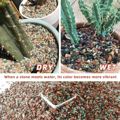 Vista 4 de 2.4 libras Mezcla de guijarros de roca volcánica hortícola para bonsái, piedra pómez para plantas suculentas y cactus, grava decorativa arenosa