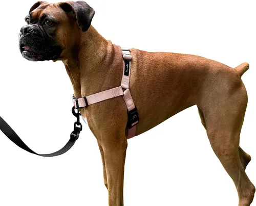 Vista 11 de ShawnCo Dream Walk Arnés para Perros Sin Tirones - Ajustable, Cómodo, Fácil de Usar, Cabestro para Mascotas para Ayudar a Detener los Tirones